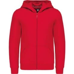 KARIBAN K455 - Sweat-shirt Capuche Zippé Enfant -Nicholson Boutique aHR0cDovL21lZGlhMi5kZXNpZ25wYXJ0bmVyLmZyL2MvcC82ODU1LzY4NTUtMTI2Mi0xLmpwZw