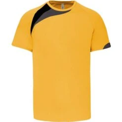 PROACT PA436 - T-shirt Sport Manches Courtes -Nicholson Boutique aHR0cDovL21lZGlhMi5kZXNpZ25wYXJ0bmVyLmZyL2MvcC83MDU1LzcwNTUtOTkzOS0xLmpwZw