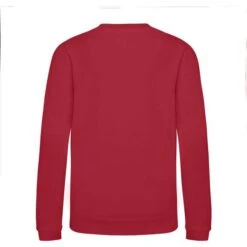 JH030J - Sweatshirt Enfant AWDis 33 JH030J - Sweatshirt Enfant AWDis -Nicholson Boutique aHR0cDovL21lZGlhMi5kZXNpZ25wYXJ0bmVyLmZyL2MvcC83NjYzLzc2NjMtMzM2Ny0yLmpwZw