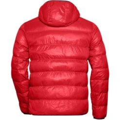 James & Nicholson JN1060 - Men's Down Jacket -Nicholson Boutique aHR0cDovL21lZGlhMi5kZXNpZ25wYXJ0bmVyLmZyL2MvcC83Nzc0Lzc3NzQtMTA3ODUtMi5qcGc