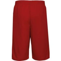 PROACT PA162 - SHORT RÉVERSIBLE BASKET-BALL UNISEXE -Nicholson Boutique aHR0cDovL21lZGlhMi5kZXNpZ25wYXJ0bmVyLmZyL2MvcC84Nzg0Lzg3ODQtMTIwNjctMi5qcGc