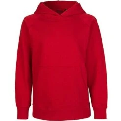 Neutral O13101 - Kids Hoodie -Nicholson Boutique aHR0cDovL21lZGlhMi5kZXNpZ25wYXJ0bmVyLmZyL2MvcC85MTExLzkxMTEtMTI1ODktMS5qcGc