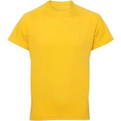 Rt11tr - T-shirt TriDri® à Empiècements Homme -Nicholson Boutique aHR0cDovL21lZGlhMi5kZXNpZ25wYXJ0bmVyLmZyL2MvcC85ODk2Lzk4OTYtMTM0NjgtMS5qcGc