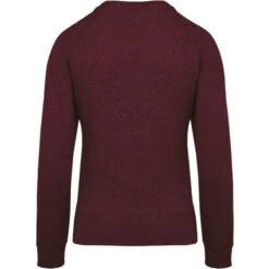 KARIBAN K481 - Sweat-shirt BIO Col Rond Manches Raglan Femme -Nicholson Boutique aHR0cDovL21lZGlhMi5kZXNpZ25wYXJ0bmVyLmZyL2MvcC8xMDU4MC8xMDU4MC0xNDM4Ny0yLmpwZw