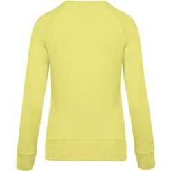 KARIBAN K481 - Sweat-shirt BIO Col Rond Manches Raglan Femme -Nicholson Boutique aHR0cDovL21lZGlhMi5kZXNpZ25wYXJ0bmVyLmZyL2MvcC8xMDU4MC8xMDU4MC0xNzc1MS0yLmpwZw