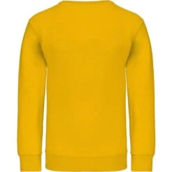 KARIBAN K475 - Sweat-shirt Col Rond Enfant -Nicholson Boutique aHR0cDovL21lZGlhMi5kZXNpZ25wYXJ0bmVyLmZyL2MvcC8xMDYxNi8xMDYxNi0xMzQzLTIuanBn