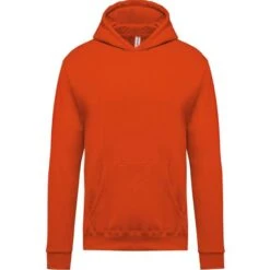 KARIBAN K477 - Sweat-shirt Capuche Enfant -Nicholson Boutique aHR0cDovL21lZGlhMi5kZXNpZ25wYXJ0bmVyLmZyL2MvcC8xMDYxNy8xMDYxNy0xMjU0LTEuanBn