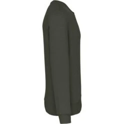 KARIBAN K488 - Sweat-shirt Col Rond 38 KARIBAN K488 - Sweat-shirt Col Rond -Nicholson Boutique aHR0cDovL21lZGlhMi5kZXNpZ25wYXJ0bmVyLmZyL2MvcC8xNDU1NS8xNDU1NS0zNjcwLTMuanBn