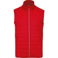 PROACT PA235 - Veste Sport Bi-matière Sans Manches -Nicholson Boutique aHR0cDovL21lZGlhMi5kZXNpZ25wYXJ0bmVyLmZyL2MvcC8xNTAyMS8xNTAyMS0xMjA2NC0xLmpwZw