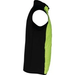 PROACT PA235 - Veste Sport Bi-matière Sans Manches -Nicholson Boutique aHR0cDovL21lZGlhMi5kZXNpZ25wYXJ0bmVyLmZyL2MvcC8xNTAyMS8xNTAyMS0xMjEyMS0zLmpwZw