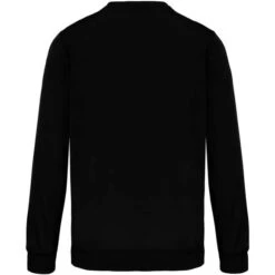 PROACT PA373 - Sweat-shirt Polyester 21 PROACT PA373 - Sweat-shirt Polyester -Nicholson Boutique aHR0cDovL21lZGlhMi5kZXNpZ25wYXJ0bmVyLmZyL2MvcC8xNTAzNi8xNTAzNi0zNzIwLTIuanBn