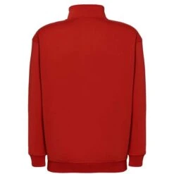 SWRAZIP - Half Zip Sweat Shirt 22 SWRAZIP - Half Zip Sweat Shirt -Nicholson Boutique aHR0cDovL21lZGlhMi5kZXNpZ25wYXJ0bmVyLmZyL2MvcC8xNTEwOC8xNTEwOC0xMTM5My0yLmpwZw