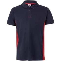 105504 - Polo Bicolore Manches Courtes -Nicholson Boutique aHR0cDovL21lZGlhMi5kZXNpZ25wYXJ0bmVyLmZyL2MvcC8xNTMzNy8xNTMzNy0xNzE3My0xLmpwZw