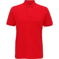 AQ005 - Polo Homme En Tricot Extra Doux 14 AQ005 - Polo Homme En Tricot Extra Doux -Nicholson Boutique aHR0cDovL21lZGlhMi5kZXNpZ25wYXJ0bmVyLmZyL2MvcC8xNjg0Mi8xNjg0Mi0xMDU3Mi0xLmpwZw