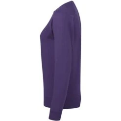 SG23F - Raglan Sweatshirt Women -Nicholson Boutique aHR0cDovL21lZGlhMi5kZXNpZ25wYXJ0bmVyLmZyL2MvcC8xNzA4MS8xNzA4MS0xOTI1Ny0zLmpwZw